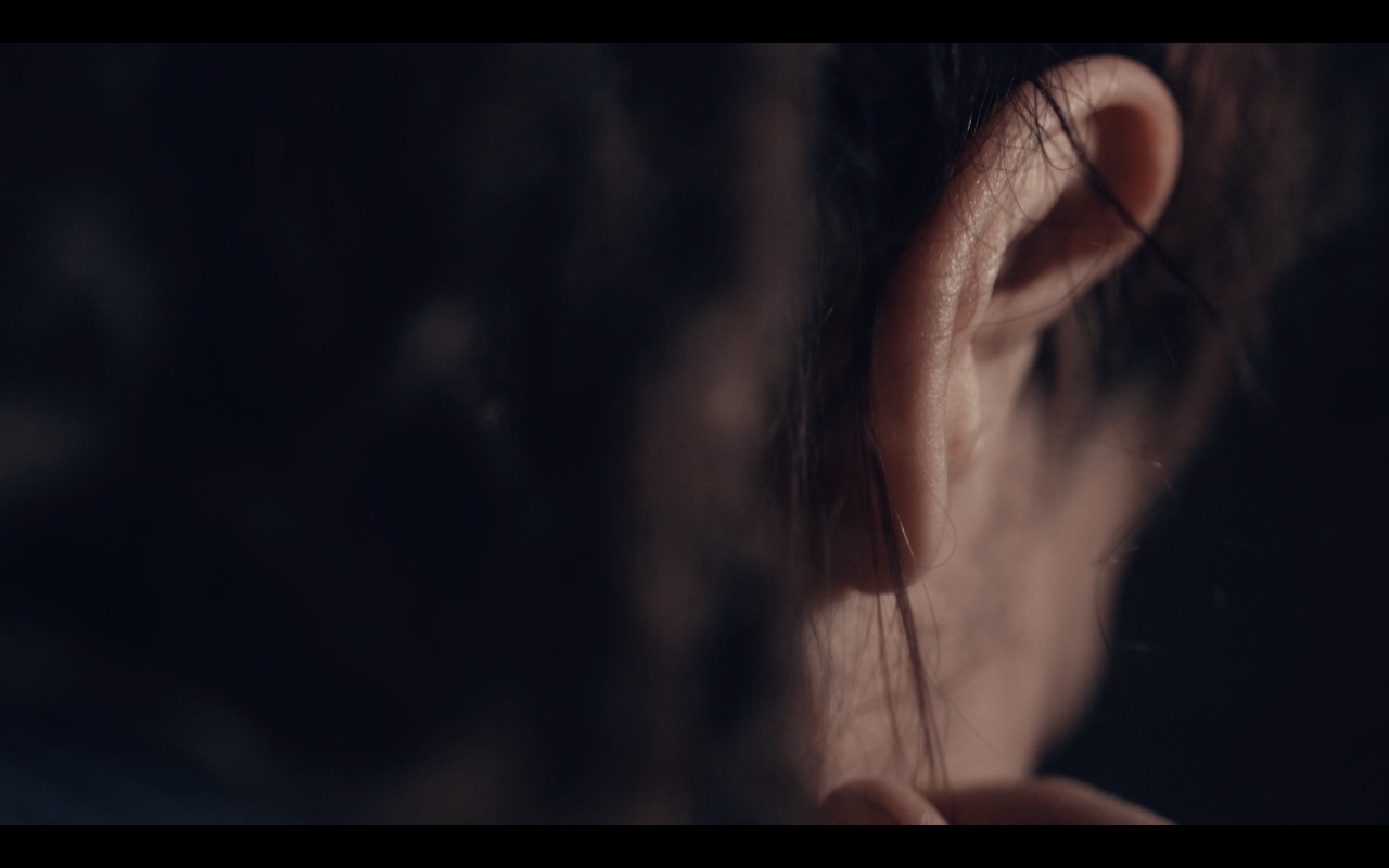 Pedram Babaiee Preview I - Live at Rooberoo Mansion. All Rights Reserved © 2018 Ali Zamani