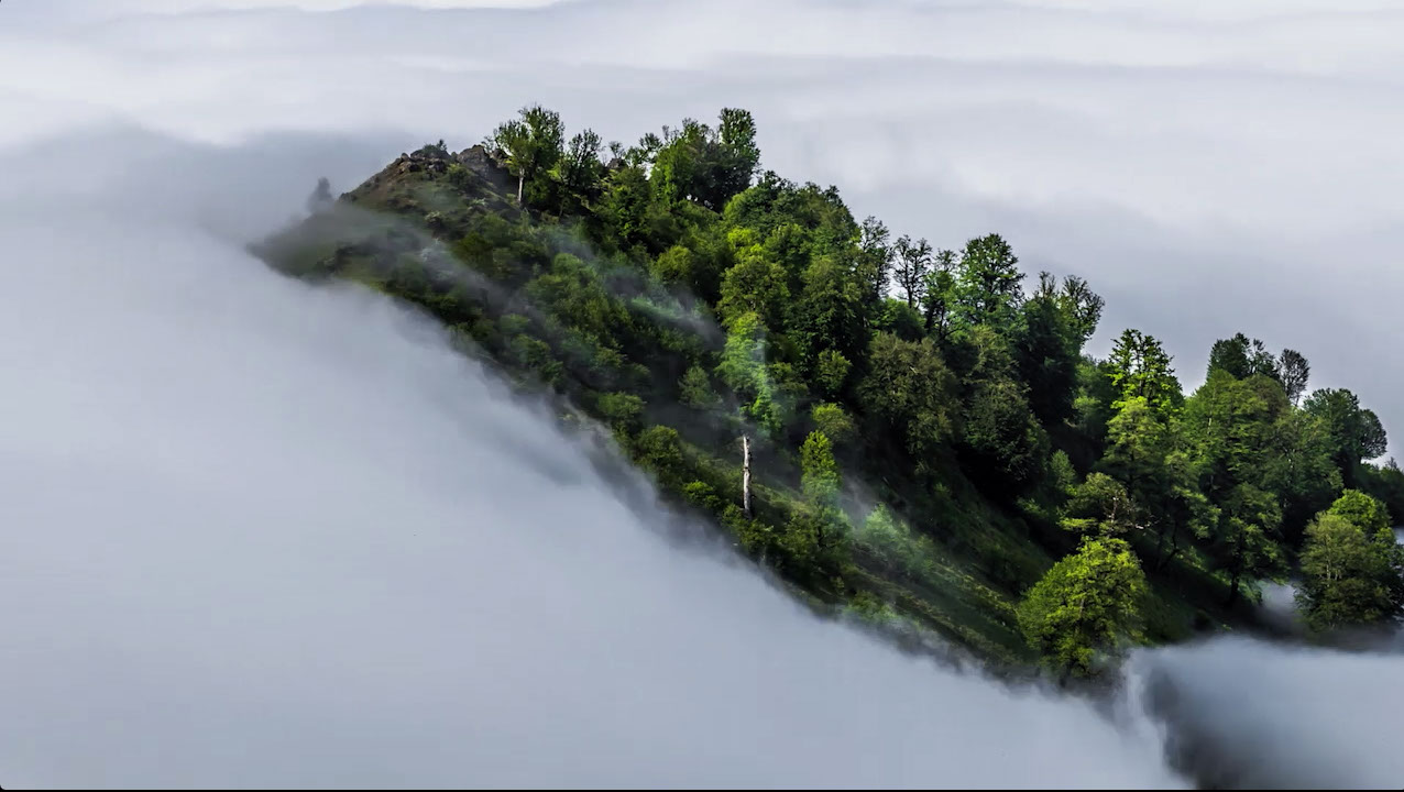 Pedram Babaiee Preview I - Live at Rooberoo Mansion. All Rights Reserved © 2018 Ali Zamani